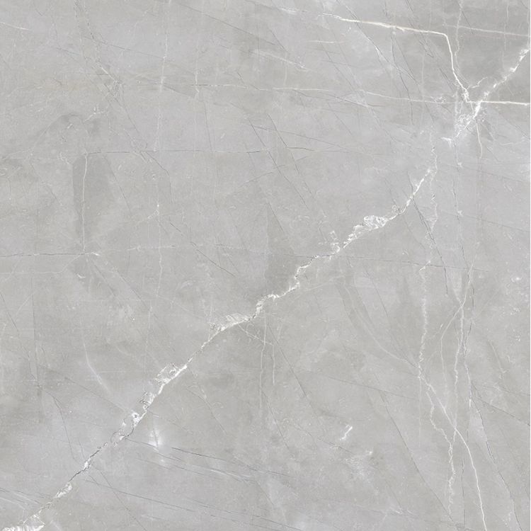Luxury Amani Grey Polished 24 x 24